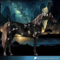 Horse Color:White Spotted Midnight Liver Chestnut Ice Rabicano 