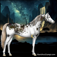 Horse Color:Gray White Spotted Midnight Chocolate Palomino Onyx Mushroom 