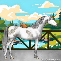 Horse Color:Brown Dun Sabino Splash Brindle 