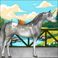 Horse Color:Gray Platinum White Spotted Chocolate Palomino Dun Tobiano Brindle 