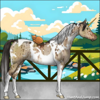 Horse Color:Gray White Spotted Liver Red Dun Tobiano Brindle 