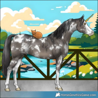 Horse Color:White Spotted Smoky Grullo Sabino Brindle 