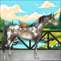 Horse Color:White Spotted Brown Dun Sabino Brindle