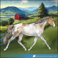 Horse Color:Chocolate Palomino Dun Mushroom Sabino Tobiano 
