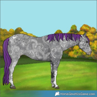 Horse Color:Painted Black Ice Tobiano 