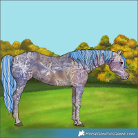 Horse Color:Painted Silver Black Ice 