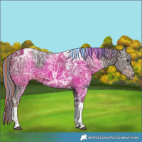 Horse Color:Painted Liver Chestnut Ice Tobiano 