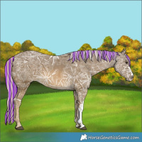 Horse Color:Painted Chocolate Palomino Ice Sabino 