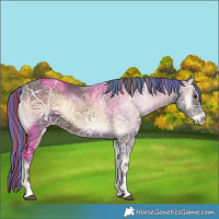 Horse Color:Painted Liver Red Onyx Ice Sabino 