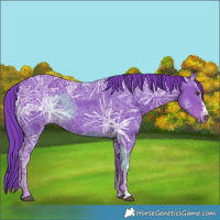 Horse Color:Watercolor Liver Chestnut Ice Sabino 