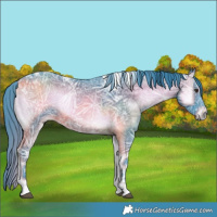 Horse Color:Watercolor Liver Red Onyx Ice Tobiano 