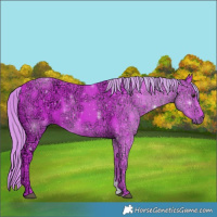 Horse Color:Watercolor Liver Chestnut Ice Sabino 