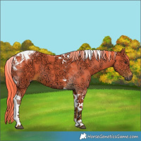 Horse Color:Watercolor Liver Chestnut Ice Tobiano 
