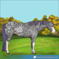 Horse Color:Painted Liver Chestnut Ice Sabino 