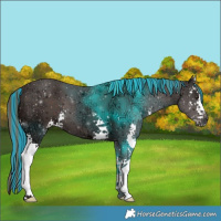 Horse Color:Painted Liver Chestnut Ice Sabino 