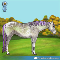Horse Color:Painted Liver Red Onyx Ice Tobiano 