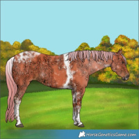 Horse Color:Watercolor Liver Chestnut Ice Tobiano 