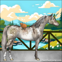 Horse Color:White Spotted Silver Brown Dun Mushroom Rabicano Brindle 