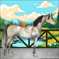 Horse Color:White Spotted Buckskin Ice Dun Brindle 