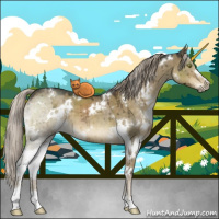 Horse Color:White Spotted Chocolate Palomino Dun Mushroom Sabino Brindle