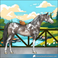 Horse Color:White Spotted Brown Dun Mushroom Sabino Brindle