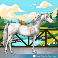 Horse Color:Gray White Spotted Chocolate Palomino Pearl Dun Mushroom Sabino Brindle 