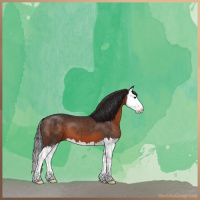 Horse Color:Brown Sabino Splash 