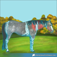 Horse Color:Thunderstruck White Spotted Liver Chestnut Ice 