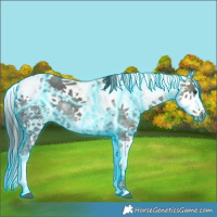 Horse Color:Thunderstruck Liver Chestnut Ice Sabino Splash 