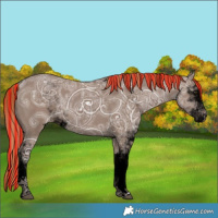 Horse Color:Void Painted Liver Red Dun Ice Sabino 