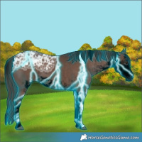 Horse Color:Void Thunderstruck Liver Chestnut Ice Sabino 