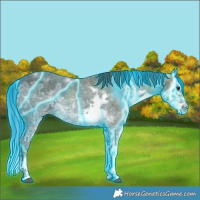 Horse Color:Thunderstruck Liver Chestnut Ice Sabino 