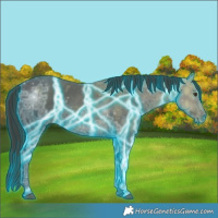 Horse Color:Thunderstruck Liver Chestnut Ice Sabino 