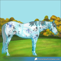 Horse Color:Thunderstruck White Spotted Liver Chestnut Ice Splash Tobiano Frame Rabicano 