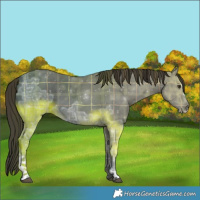 Horse Color:Plaid  Liver Chestnut Ice Sabino 