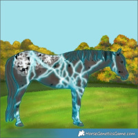 Horse Color:Void Thunderstruck White Spotted Liver Chestnut Ice 