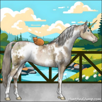 Horse Color:Gray White Spotted Chocolate Palomino Ice Pearl Dun Brindle 