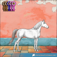 Horse Color:Liver Red Dun Appaloosa Brindle 