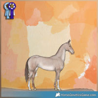 Horse Color:Classic Champagne Appaloosa 