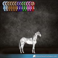 Horse Color:Grullo Sabino 