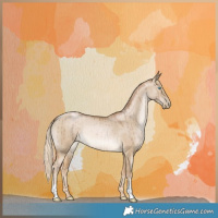 Horse Color:Chocolate Palomino Pearl Dun Brindle