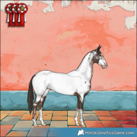 Horse Color:Liver Chestnut Frame Appaloosa 