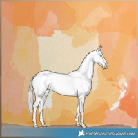 Horse Color:Chocolate Palomino Pearl Dun Appaloosa Brindle