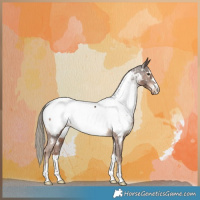 Horse Color:Liver Chestnut Near Fewspot 