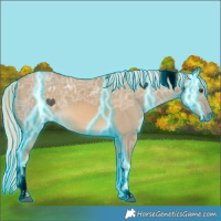 Horse Color:Void Thunderstruck Chocolate Palomino Ice Dun Tobiano 