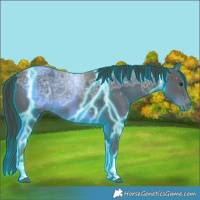 Horse Color:Thunderstruck Liver Chestnut Ice Tobiano 