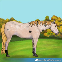 Horse Color:Void Watercolor Liver Red Dun Ice Tobiano 