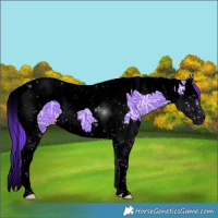 Horse Color:Void Watercolor Liver Chestnut Ice Splash Tobiano