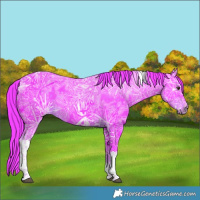 Horse Color:Watercolor Liver Chestnut Ice Tobiano 