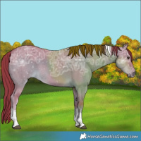 Horse Color:Watercolor Liver Red Dun Ice Tobiano 